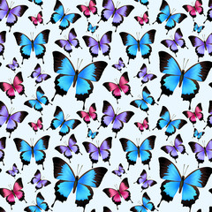 Fototapeta na wymiar Butterflies seamless pattern