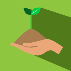 hand hold plant vector icon