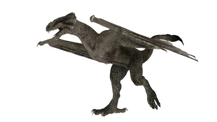ドラゴン