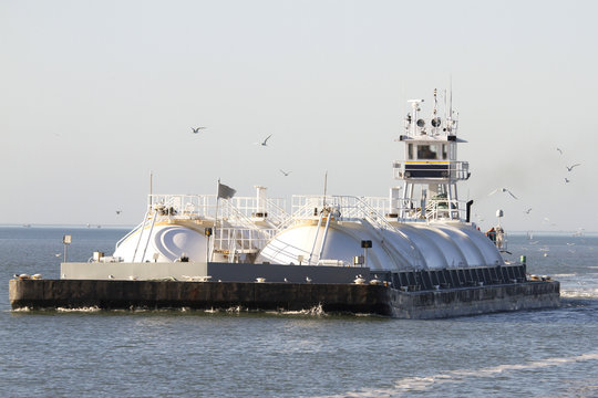 Sea Birds following Oil and Gas Barge 