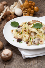 Wild Mushrooms Pasta