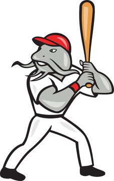 Catfish Baseball Hitter Batting Full Isolated Cartoon