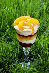 Layer peach and strawberry dessert with whipped cream topping