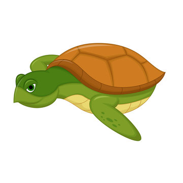 Sea Turtle Swiming Cartoon