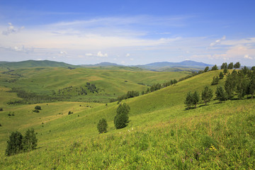 Fototapeta na wymiar Beautiful summer landscape of the Altai mountains.