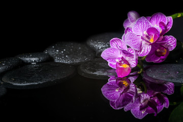 Beautiful spa setting of stripped orchid (phalaenopsis), zen sto