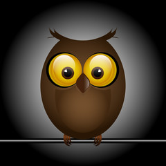 Funny owl