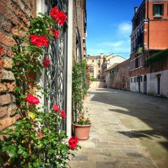 Fototapeta na wymiar Venice, a beautiful street view with red roses
