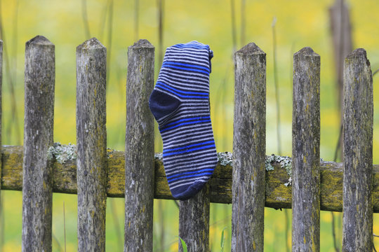Day Of Lost Sock 7