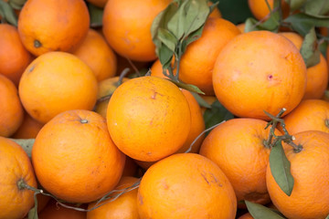 Fototapeta na wymiar Pomarańcze