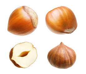 Forest hazelnuts isolated