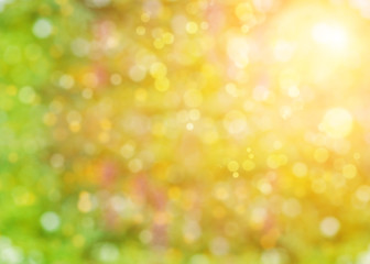 Abstract summer background with sunlight