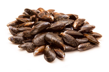  Mussels on a white studio background.