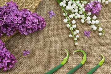 Lilac and lily of the valley on a canvas background. Floral fram