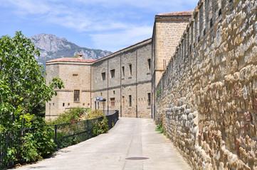 Fototapeta na wymiar Wall of Laguardia, Alava (Spain)