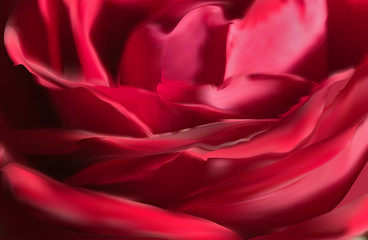 dark red rose flower petals background