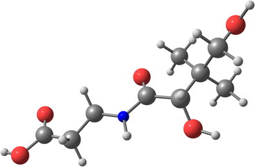 Pantothenic acid (vitamin B5) molecular structure on white