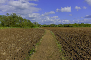  field