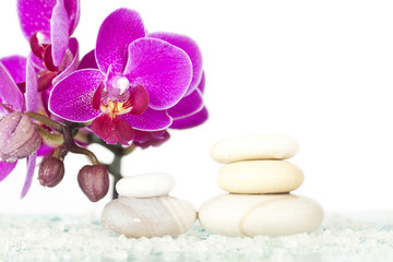 Fototapeta na wymiar Spa stones and pink orchid
