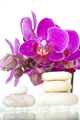 Naklejka na ściany i meble Spa stones and pink orchid