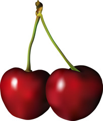 Cherry