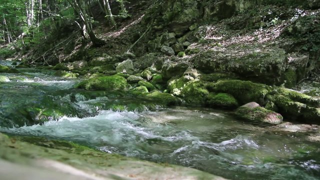 Fast mountain stream among the mossy stones -1920x1080