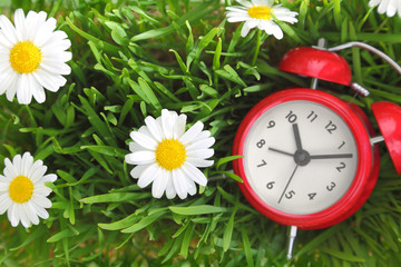 Red clock on green grass with flowers background