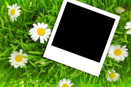 Blank photograph template on green grass with flowers