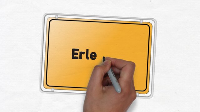 Erlensee Ortseingangsschild Ortseingang Stadt