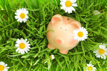 Piggy bank on green grass with flowers background