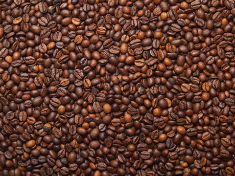 Numerous coffee beans which have been scattered all over the sur