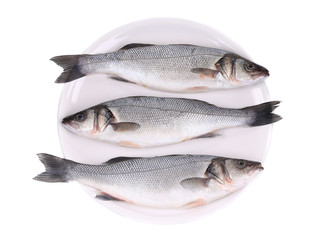 Fototapeta premium Three fresh seabass fish on plate.