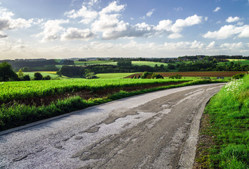 Road through fields
