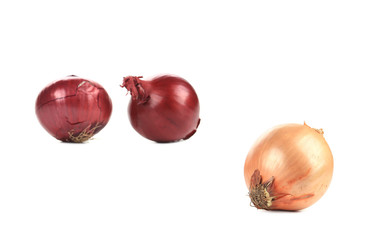 Ripe onion bulbs.