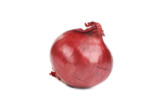 Red onion bulb.