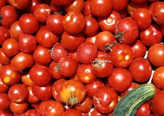 A large amount of tomatoes © Arena Photo UK