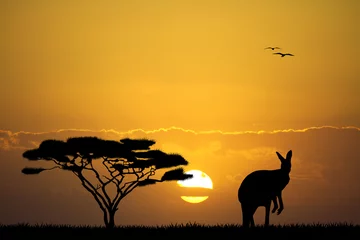 Foto op Plexiglas kangaroo in Australian landscape © adrenalinapura