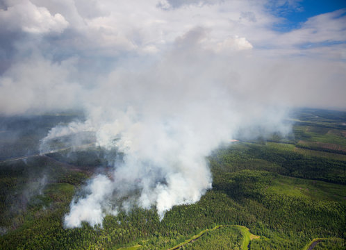 Wildfire in forest, aerial view