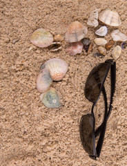 Pair of sunglasses on beach sand