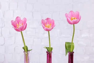 Beautiful pink tulips on grey wall background