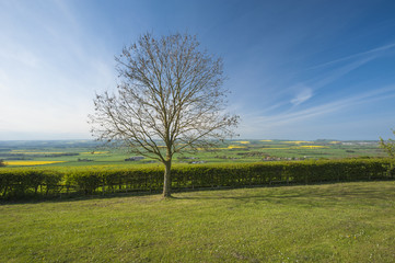 Rural scene view over fields