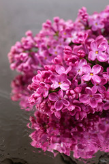 Beautiful lilac flowers, on grey background