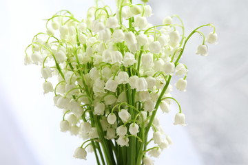 Beautiful lilies of the valley on cloth background
