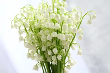 Photo sur Plexiglas Muguet Beautiful lilies of the valley on cloth background