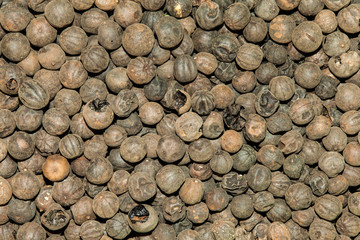 Dried black lime background