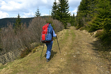 Obraz premium Mountain