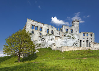 Fototapeta na wymiar Ruins of a castle, Ogrodzieniec fortifications, Poland.