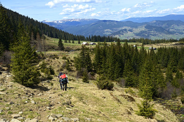 Fototapeta premium Mountain Carpathian landscape