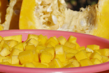 Kürbis (Cucurbita maxima)