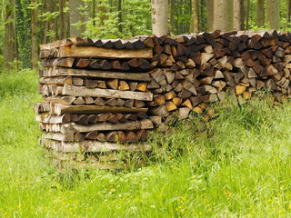Holzstapel